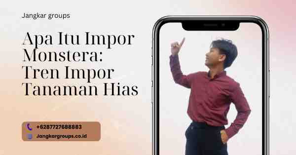 Apa Itu Impor Monstera: Tren Impor Tanaman Hias