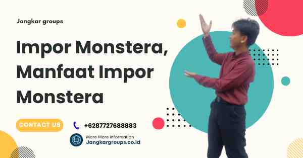 Impor Monstera, Manfaat Impor Monstera