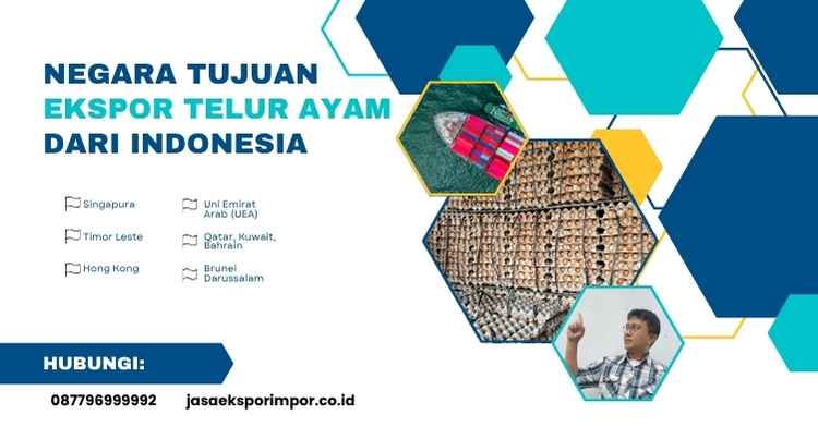 Negara Tujuan Ekspor Telur Ayam dari Indonesia