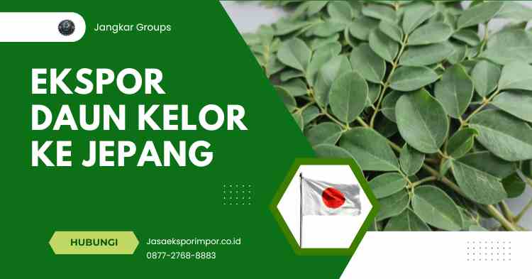 Ekspor Daun Kelor ke Jepang Syarat dan Peluang Bisnis