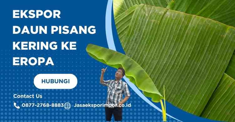 Ekspor Daun Pisang Kering ke Eropa Panduan Lengkap