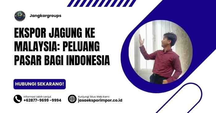 Ekspor Jagung ke Malaysia Peluang Pasar Bagi Indonesia