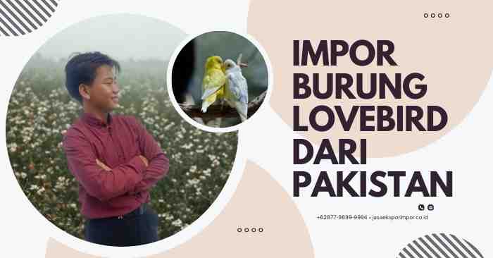 Impor Burung Lovebird Dari Pakistan