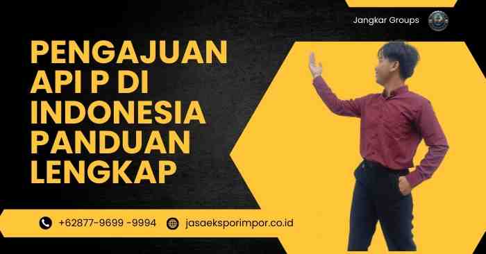 Pengajuan API P di Indonesia Panduan Lengkap