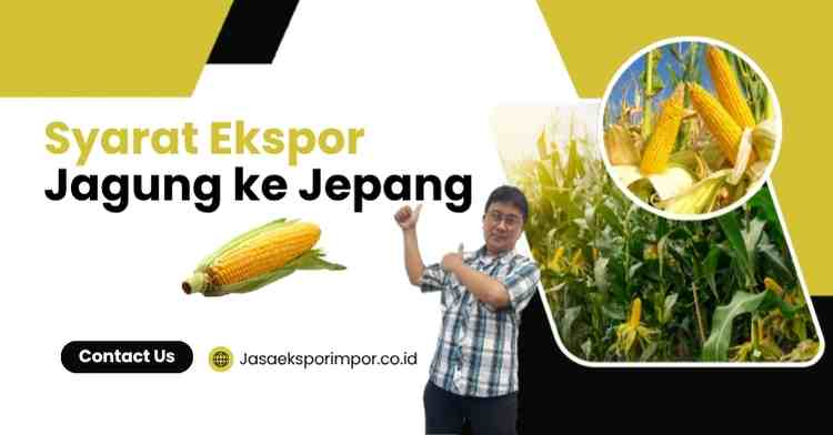 Syarat Ekspor Jagung ke Jepang