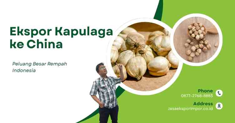 Ekspor Kapulaga ke China Peluang Besar Rempah Indonesia
