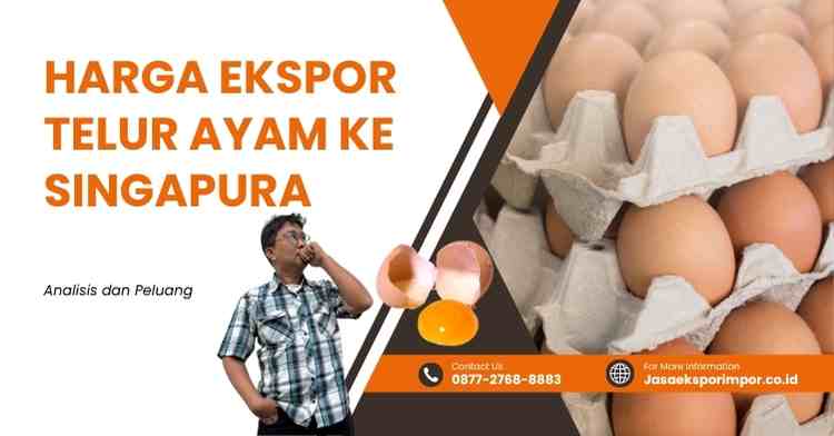 Harga Ekspor Telur Ayam ke Singapura Analisis dan Peluang