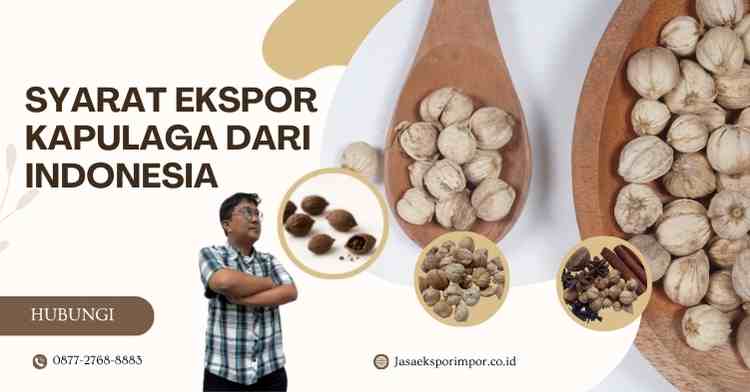 Syarat Ekspor Kapulaga dari Indonesia